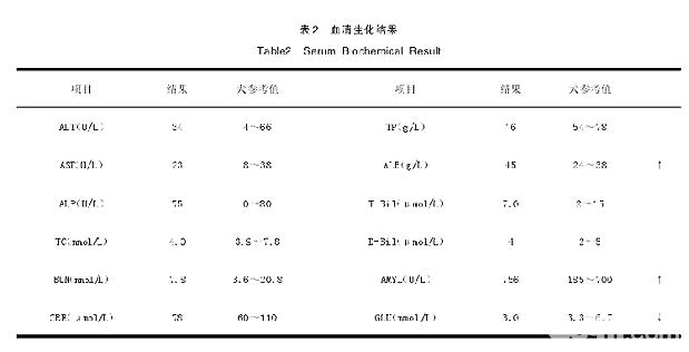 血清生化結果分析：ALB升高，AMYL升高，GLU降低，表明患犬目前胰腺代謝功能出現障礙。